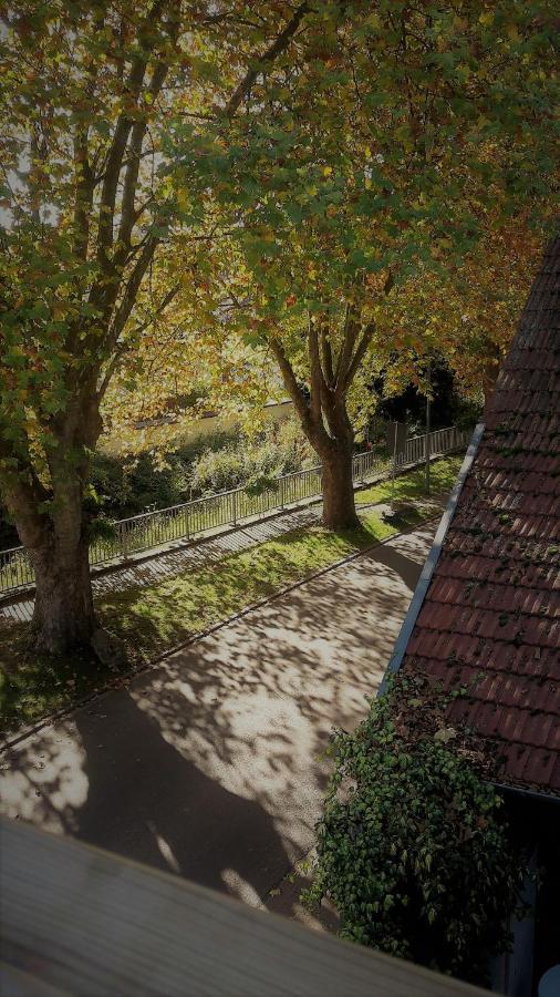 Haus mit Seele im Nahetal Weinsheim  Exterior foto
