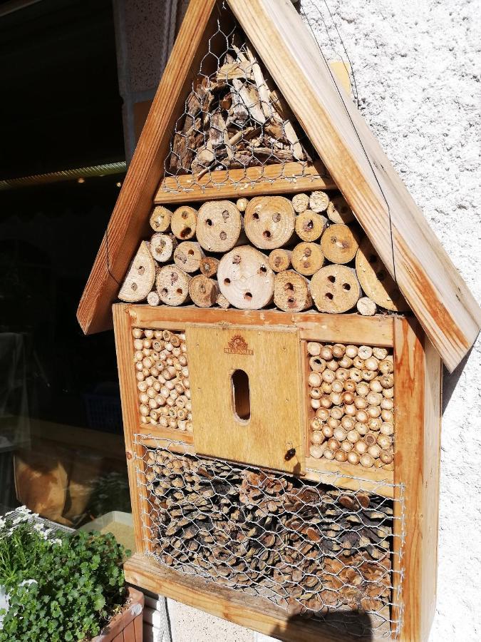 Haus mit Seele im Nahetal Weinsheim  Exterior foto